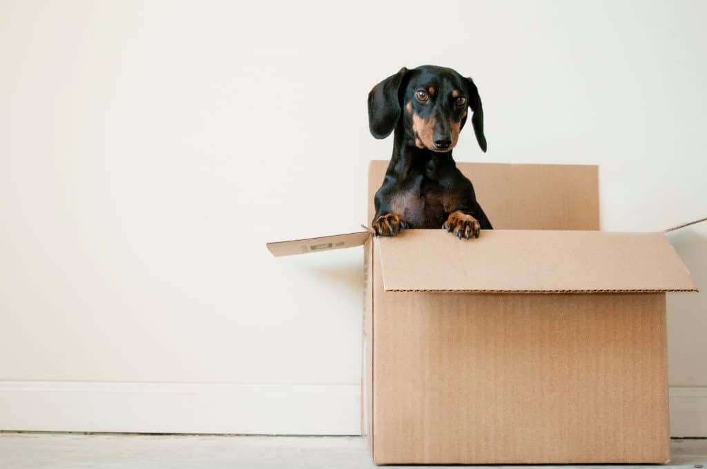 packing boxes for your move